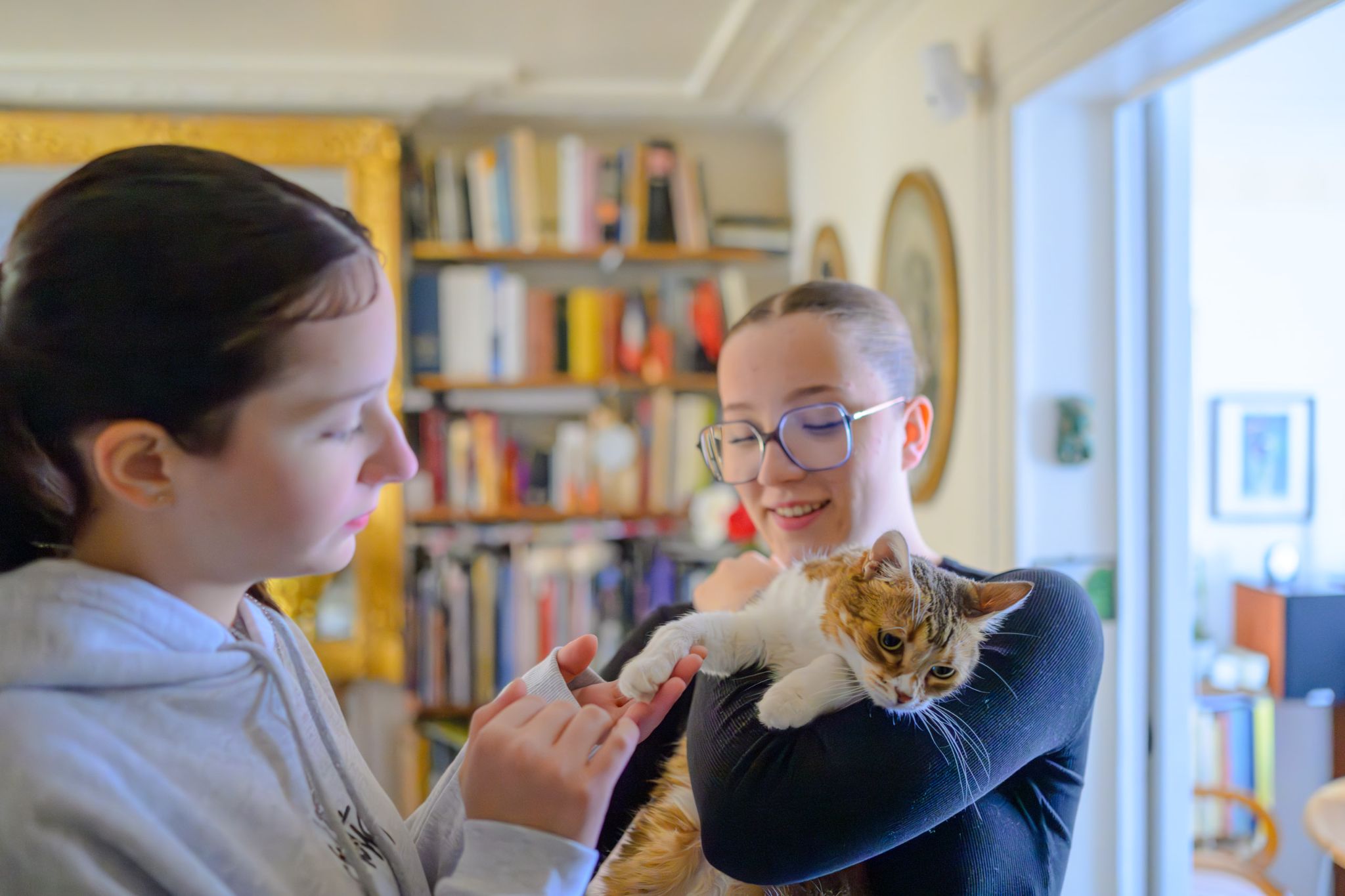  NZ81763 Avec accentuation Bruit 1